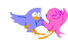 amour oiseaux